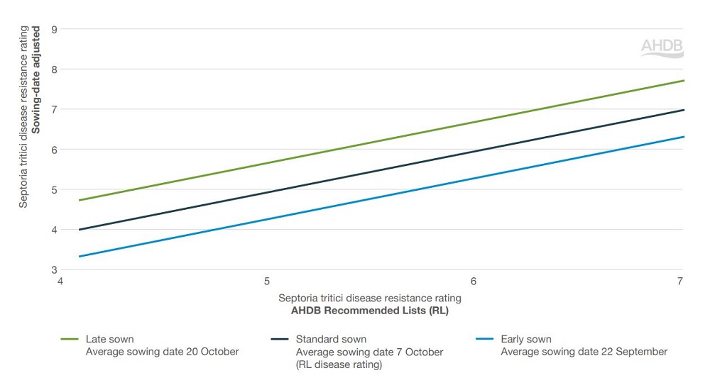 Graph to quantify the impact of drilling date on septoria tritici disease resistance rating